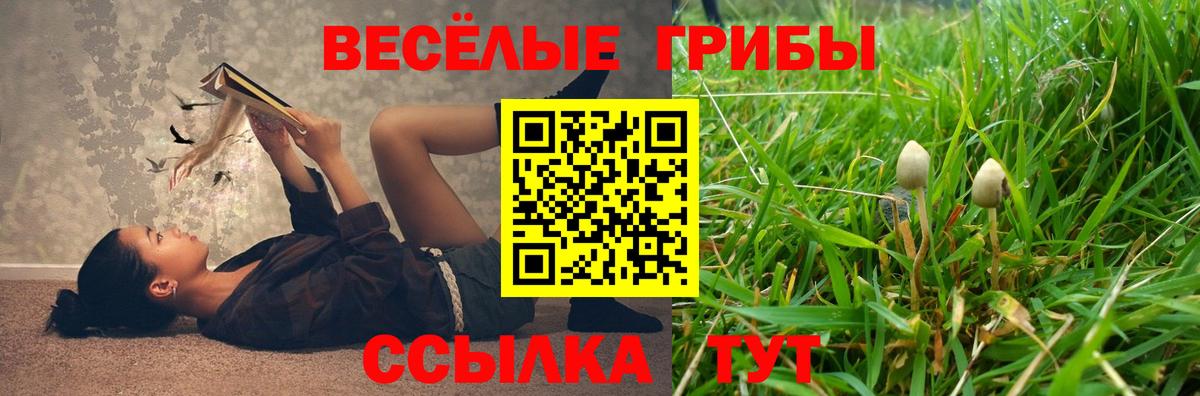 Галлюциногенные грибы мухоморы  Вход с VPN  Тара 